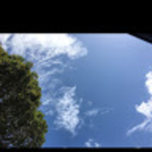 Meet your Posher, Pastor